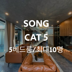 Group 1000004929.png